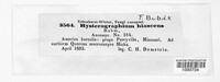 Hysterographium hiascens image